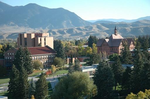 Guide to applying for scholarships to American Universities for UK